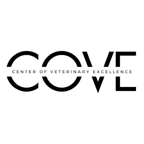 COVE Black_Transparent